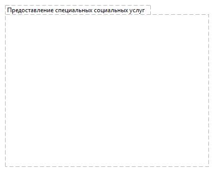 Предоставление специальных социальных услуг ВПО